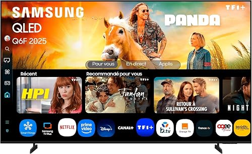 Samsung 55Q6F QLED